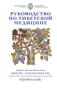 Руководство по тибетской медицине. 