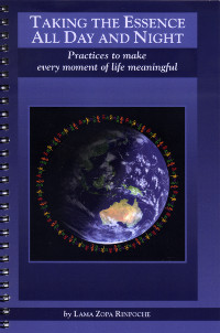 Купить книгу Taking the Essence All Day and Night в интернет-магазине Dharma.ru