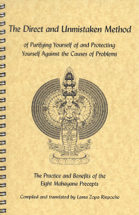 Купить книгу The Direct and Unmistaken Method: Practice and Benefits of the 8 Mahayana Precepts в интернет-магазине Dharma.ru